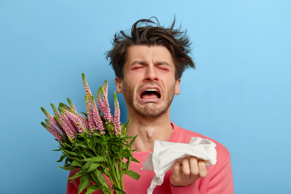 alergie la polen, praf sau animale